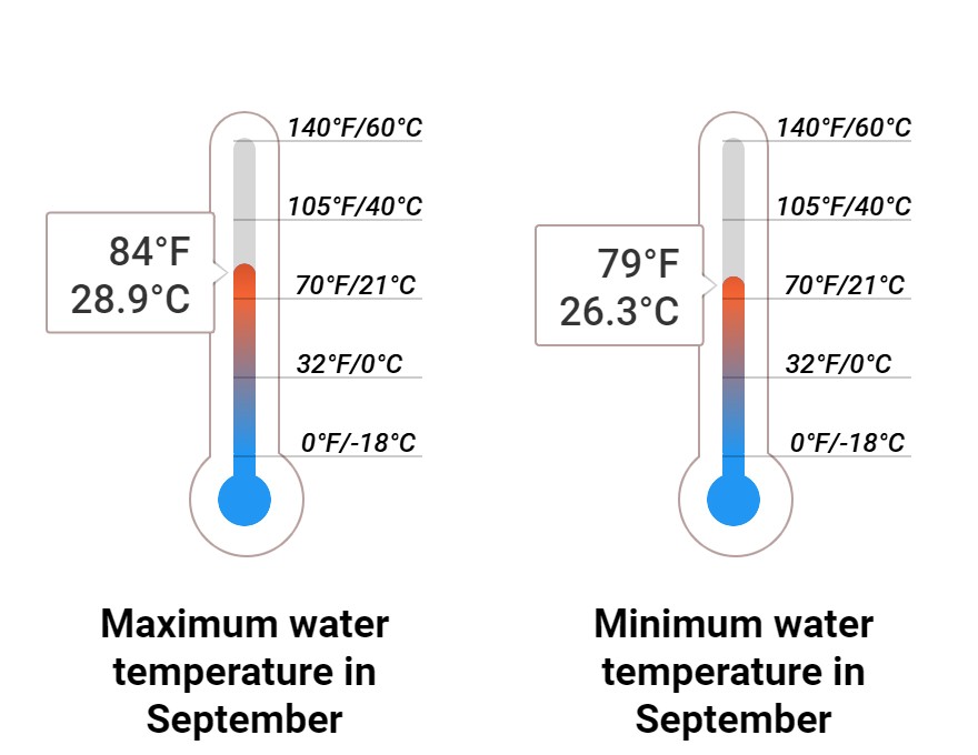 Average Sea temperature